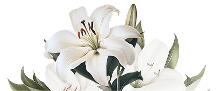 footer image